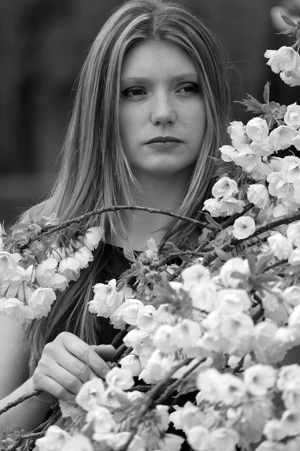 IMG_0811